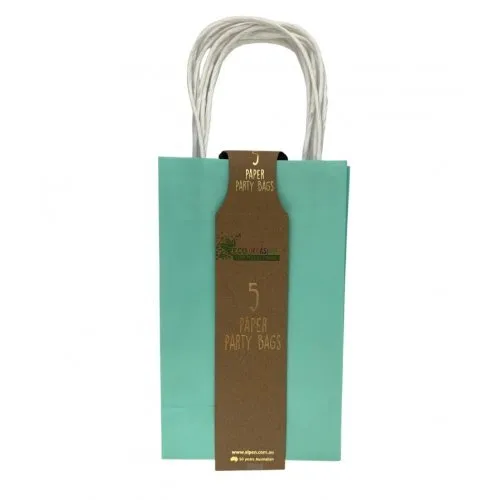 5pk Pastel Mint Paper Party Gift Bags