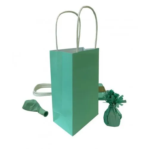 5pk Pastel Mint Paper Party Gift Bags