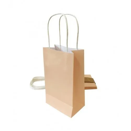 5pk Pastel Peach Paper Party Gift Bags