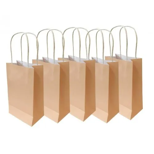 5pk Pastel Peach Paper Party Gift Bags