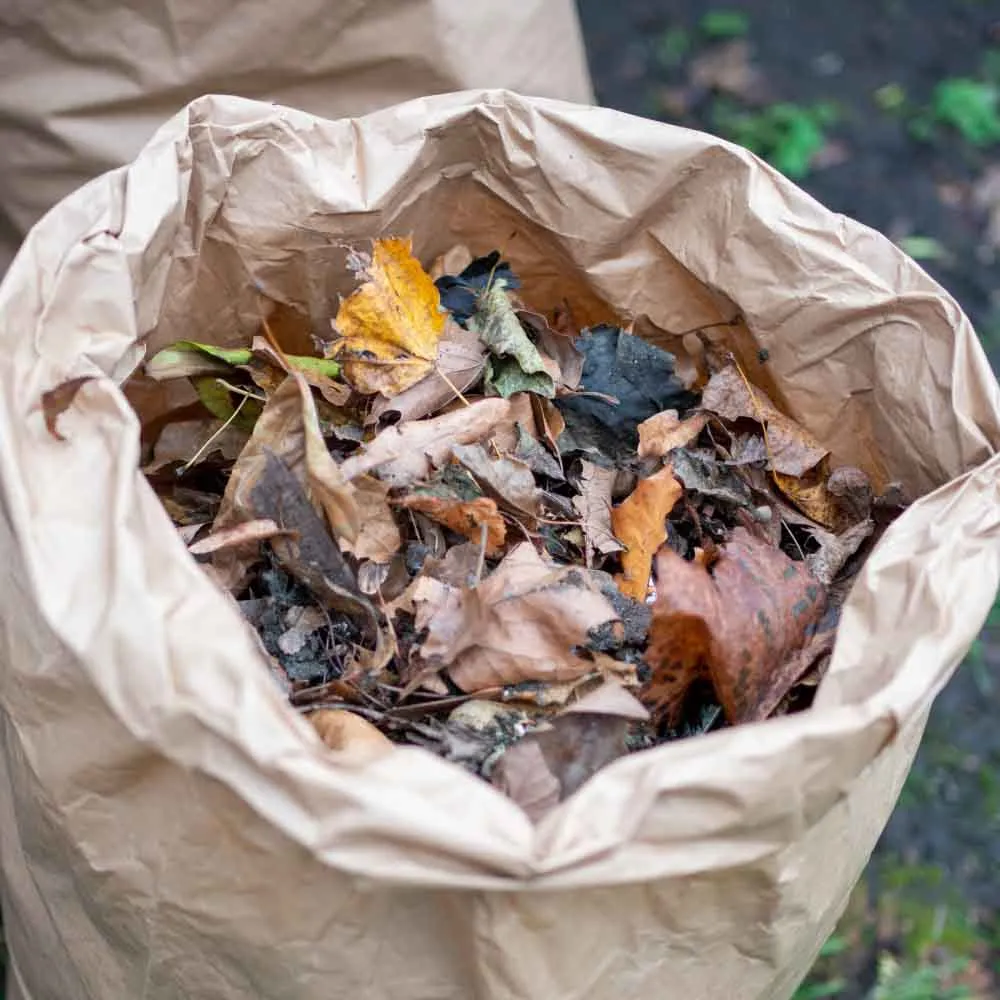 Compostable Garden Waste Paper Bags