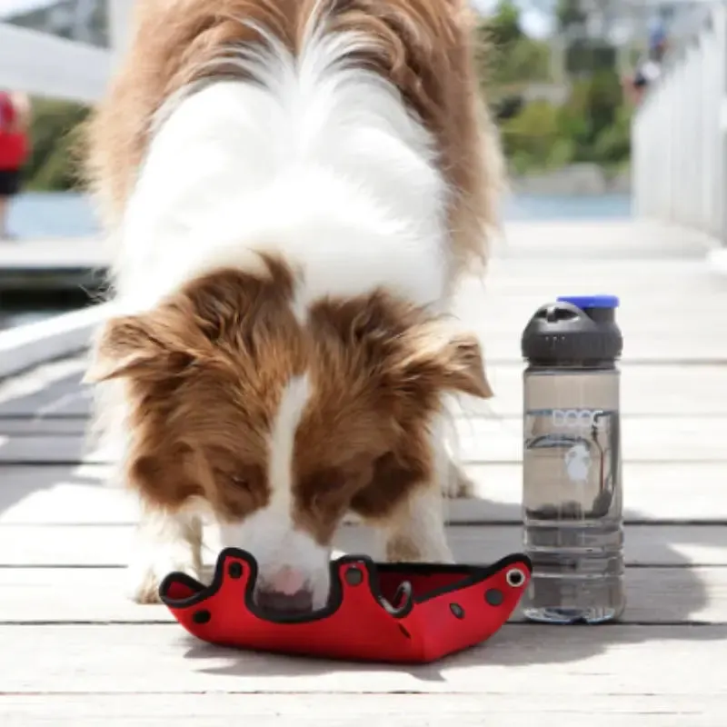 DOOG 3-in-1 Dog Water Bottle & Bowl