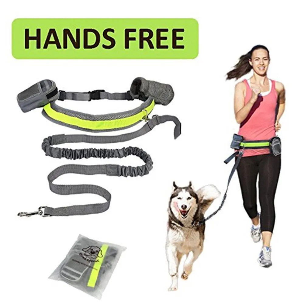 Hands-Free Adventure: Adjustable Retractable Leash for You and Your Pet