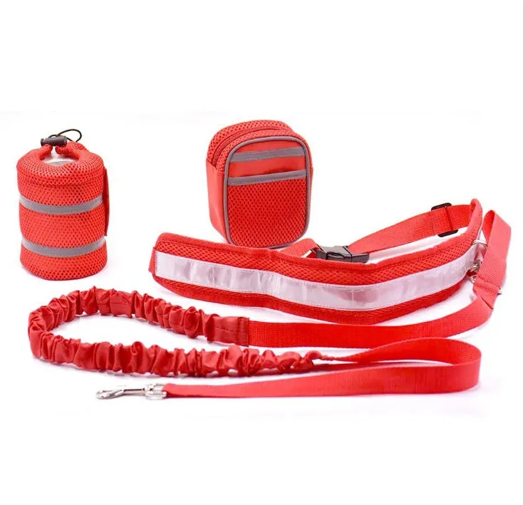 Hands-Free Adventure: Adjustable Retractable Leash for You and Your Pet