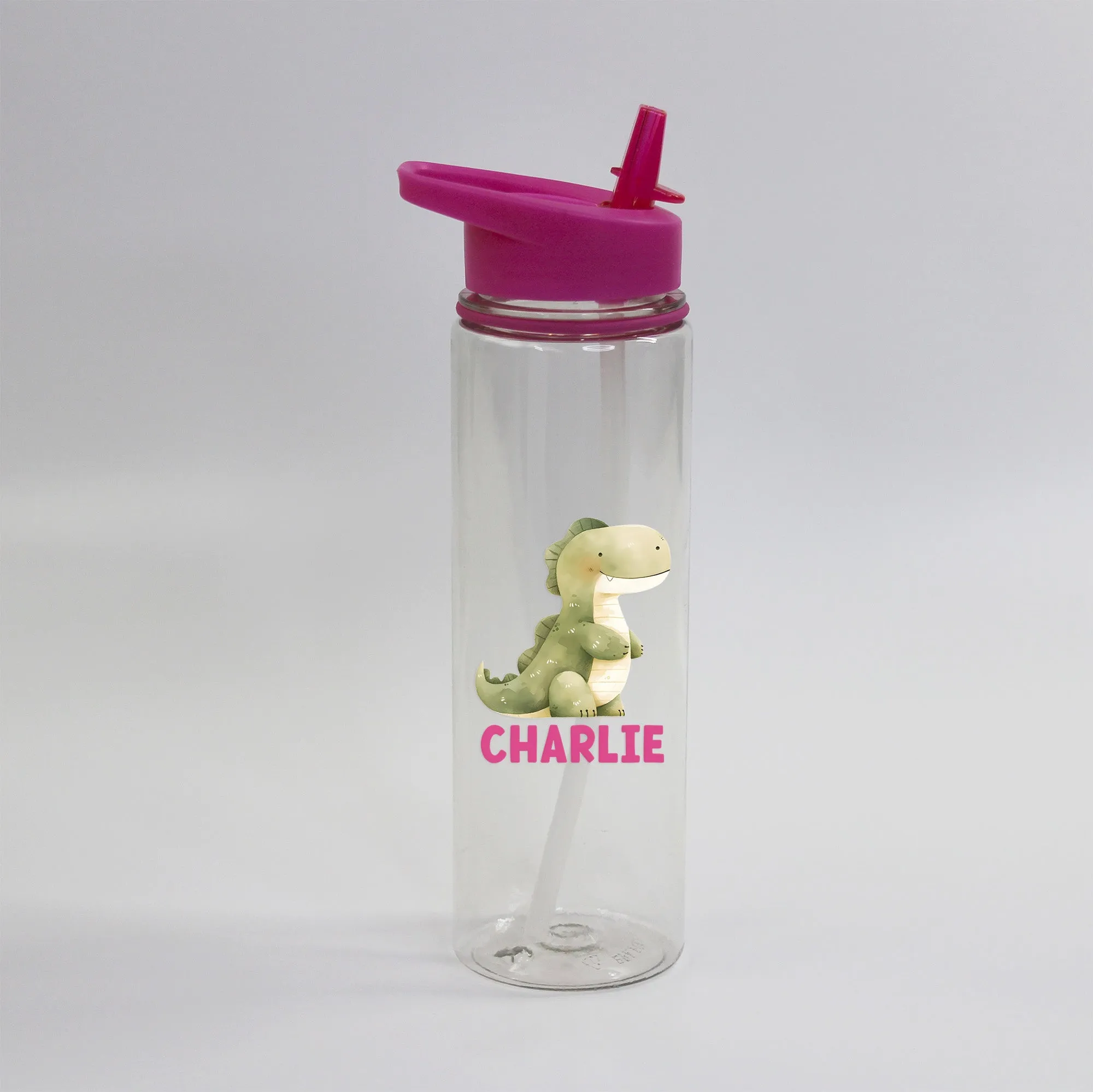 Personalised Children's Dinosaur Flip Straw Water Bottle, 725ml